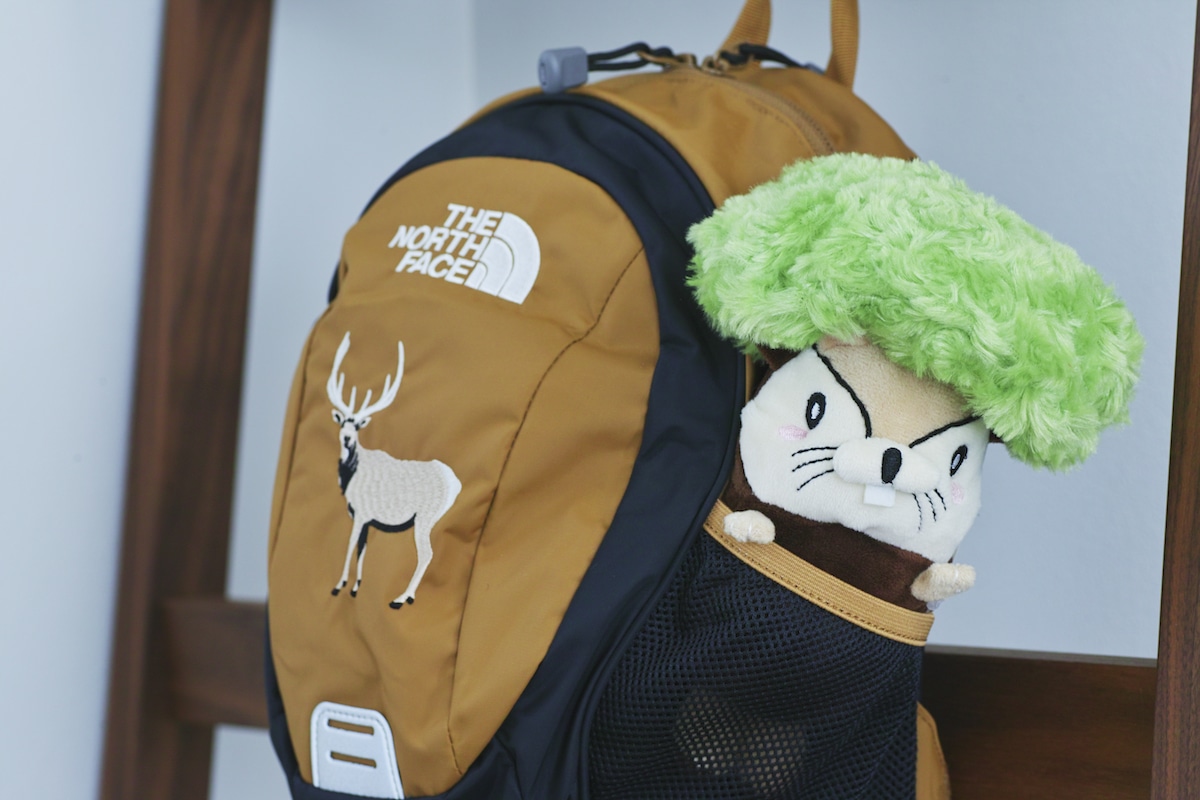 Nuts-kun from Momonoko Island Plush Toy