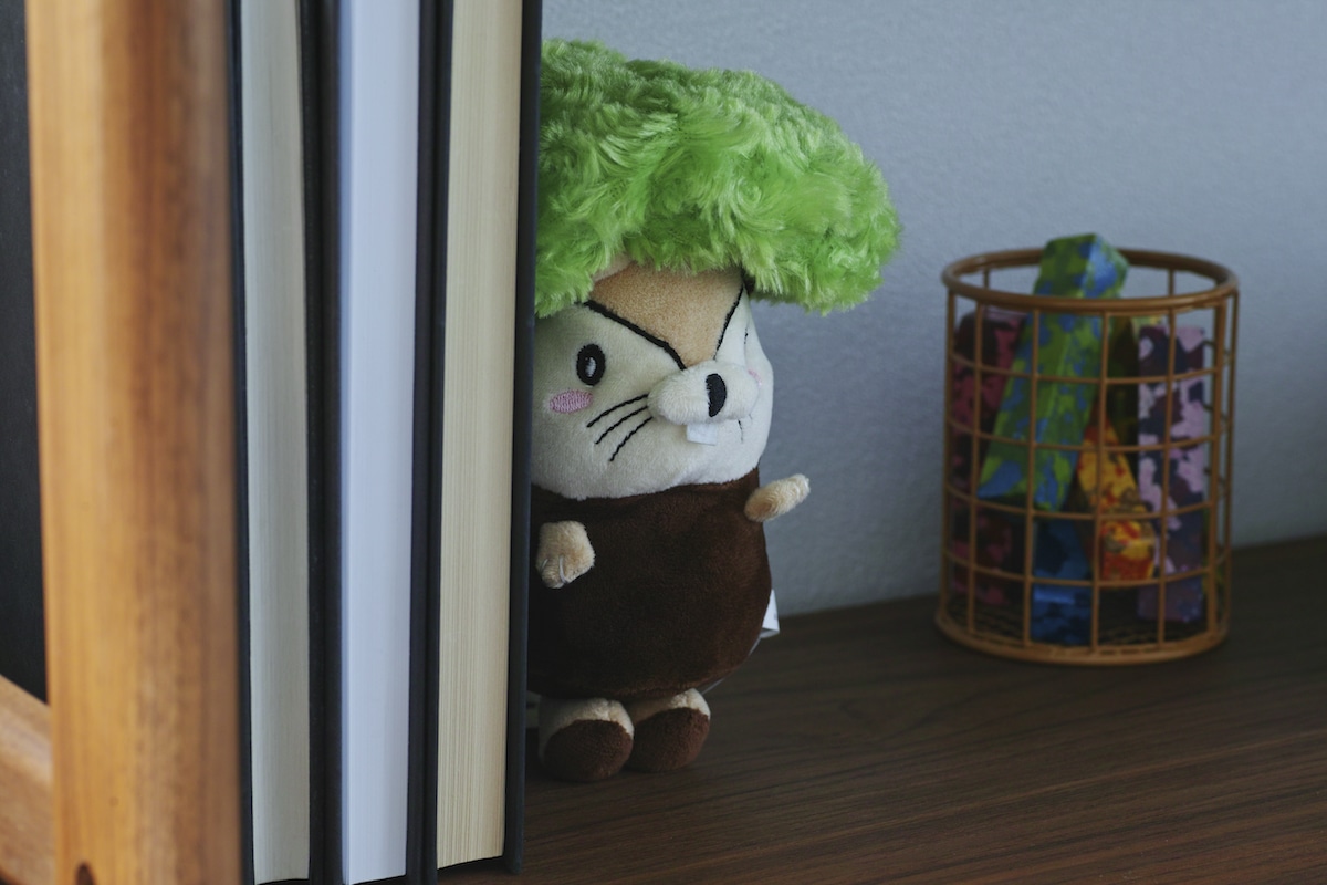 Nuts-kun from Momonoko Island Plush Toy