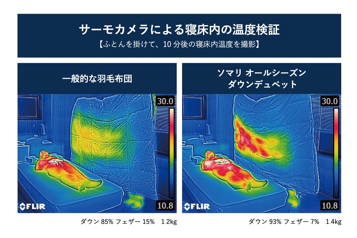 MASTERWAL no FUTON Somali ALL SEASON DOWN DUVET S(シングル)