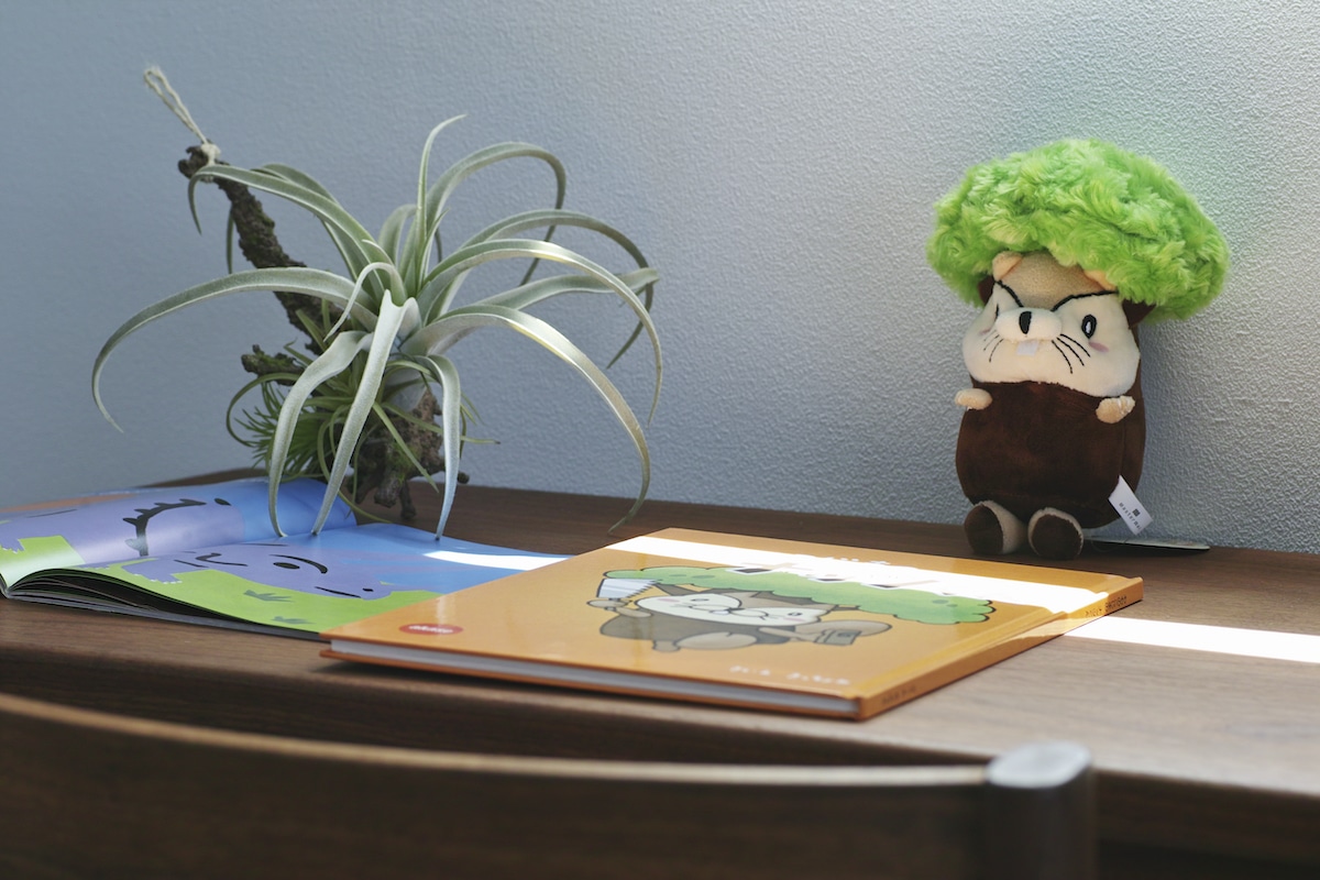 Nuts-kun from Momonoko Island Plush Toy