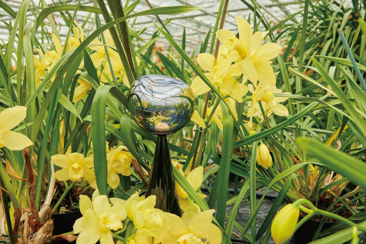 TOM DIXON. | MELT PORTABLE Black