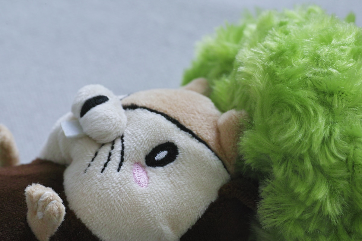 Nuts-kun from Momonoko Island Plush Toy